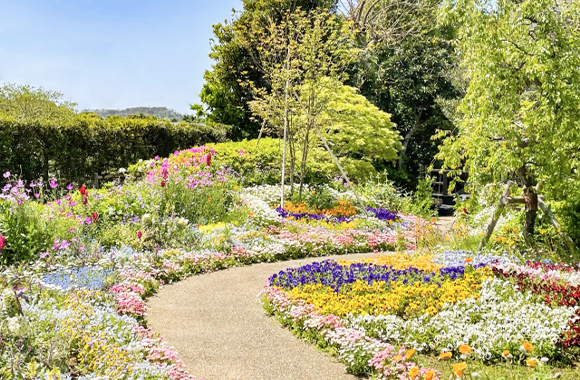 板橋区ので30年以上も培った確かな技術により個人宅のお庭をきれいに、快適に、癒しの空間を造ります。