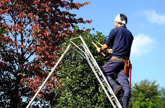 株式会社鹿浜造園では一緒に働いていただける職人を 募集しております！
